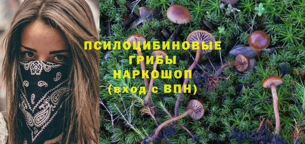 спайс Алексеевка