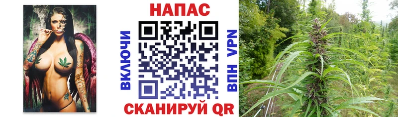 Бошки марихуана Bruce Banner  Нелидово 